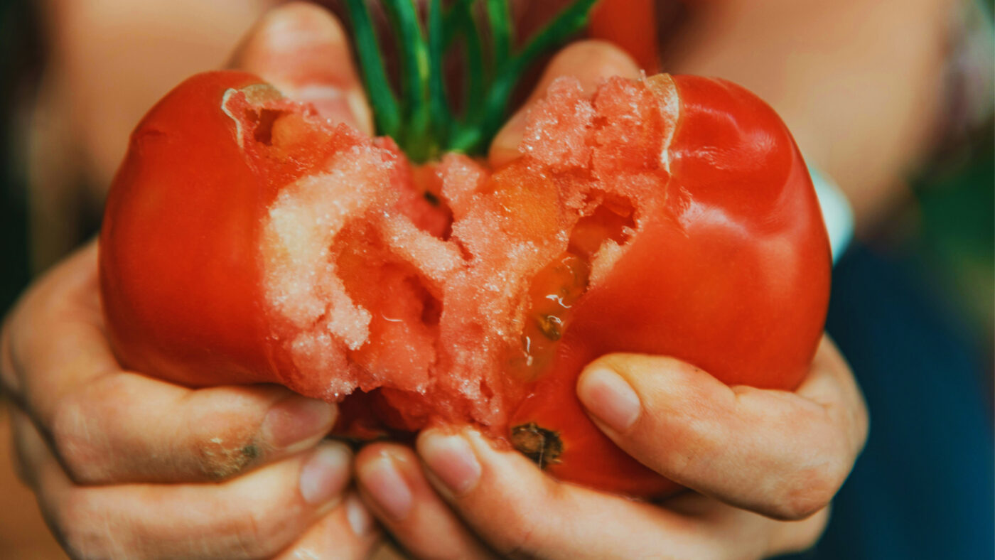 When Garden Touches (a sensory garden poem)