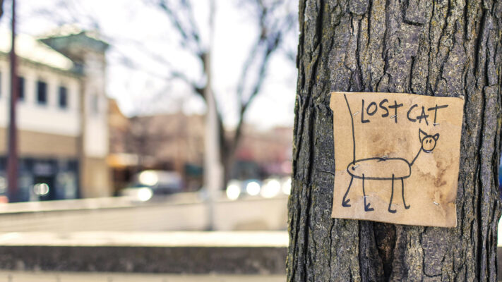 how to start when lost